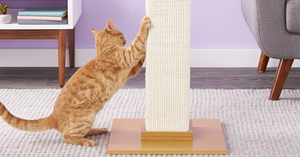 Alea's Deals SmartCat Pioneer Pet Ultimate Scratching Post (Beige) Up to 30% Off! Was $49.99!  