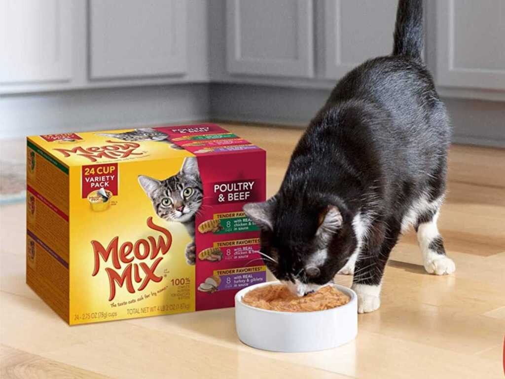 Alea's Deals Meow Mix Wet Cat Food 24-Pack - ON SALE➕SUB/SAVE  
