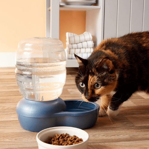 Alea's Deals Petmate Replendish Gravity Waterer Up to 57% Off! Was $22.99!  