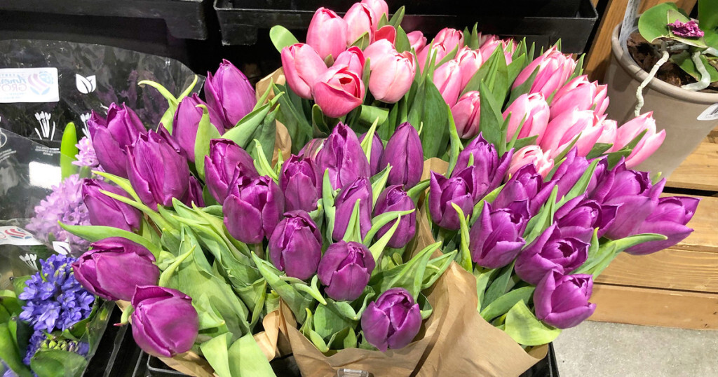 Alea's Deals *HOT* Whole Foods 20-Stem Bunch of Tulips ONLY $8.99 (Reg. $15) for Amazon Prime Members  