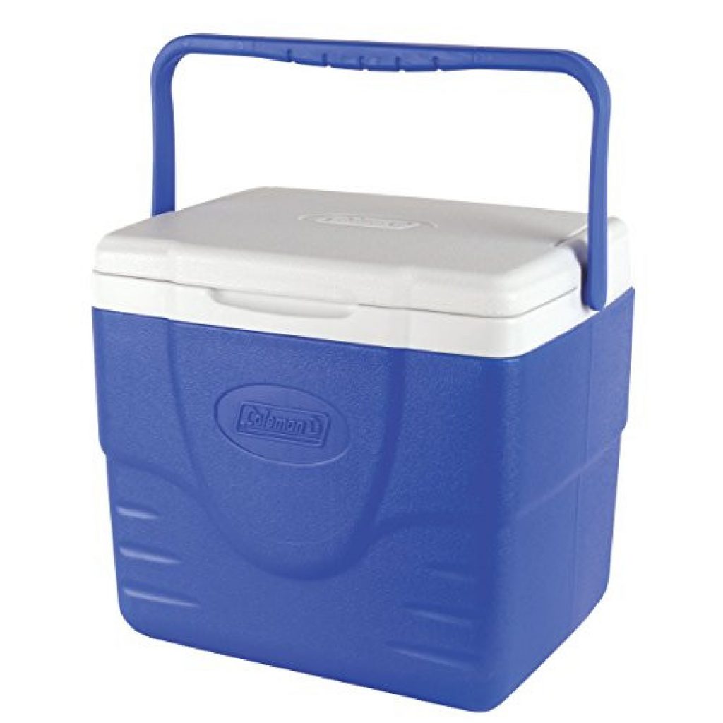 Alea's Deals Coleman Excursion Portable Cooler, 9 Quart Up to 35% Off! Was $19.99!  