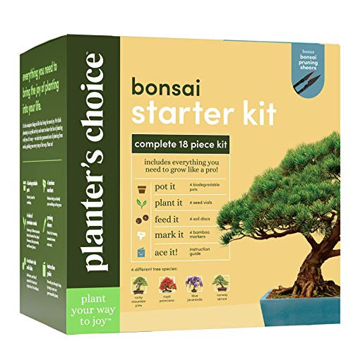 Alea's Deals Bonsai Starter Kit - The Complete Growing Kit Up to 24% Off! Was $32.99!  