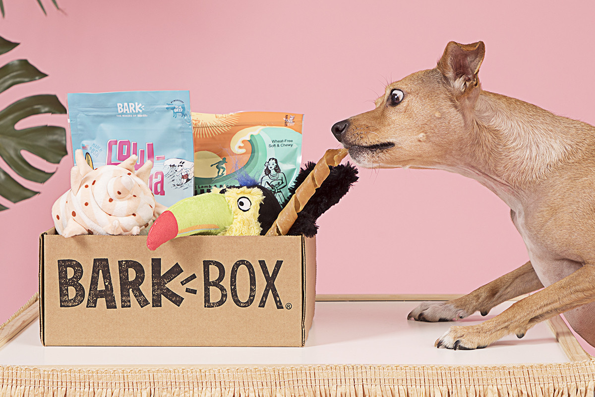 Alea's Deals BarkBox: Fun Box of Treats and Toys For Your Pup!  