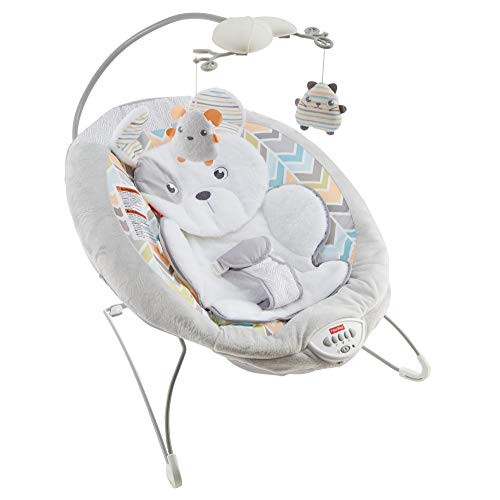 Alea's Deals Fisher-Price Sweet Snugapuppy Dreams Deluxe Bouncer Up to 20% Off! Was $59.99!  