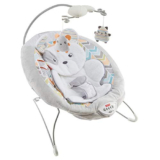 Fisher-Price Sweet Snugapuppy Dreams Deluxe Bouncer Up to 45% Off! Was $59.99!