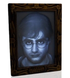 WOW! Stuff Collection Harry Potter Holopane 50 Mood Lamp Up to 60% Off! Was $24.99!