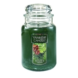 Yankee Candle Large Jar Candle Balsam & Cedar Up to 57% Off! Was $27.99!