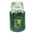 Yankee Candle Large Jar Candle Bahama Breeze Up to 40% Off! Was $27.99!