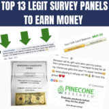 13 Best Survey Panels To Earn Money!