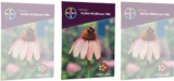 Request a FREE Wildflower Seed Packet | Help Save The Bees