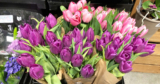 *HOT* Whole Foods 20-Stem Bunch of Tulips ONLY $8.99 (Reg. $15) for Amazon Prime Members