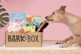 BarkBox: Fun Box of Treats and Toys For Your Pup!
