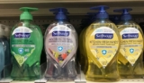 90¢ Softsoap Fresh Hands Hand Soap at Dollar General!